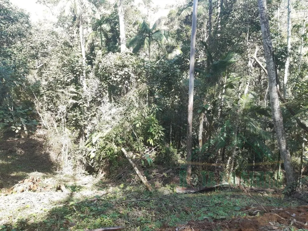 Terreno, 5000 m² - Foto 2