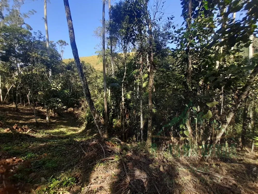 Terreno, 5000 m² - Foto 15