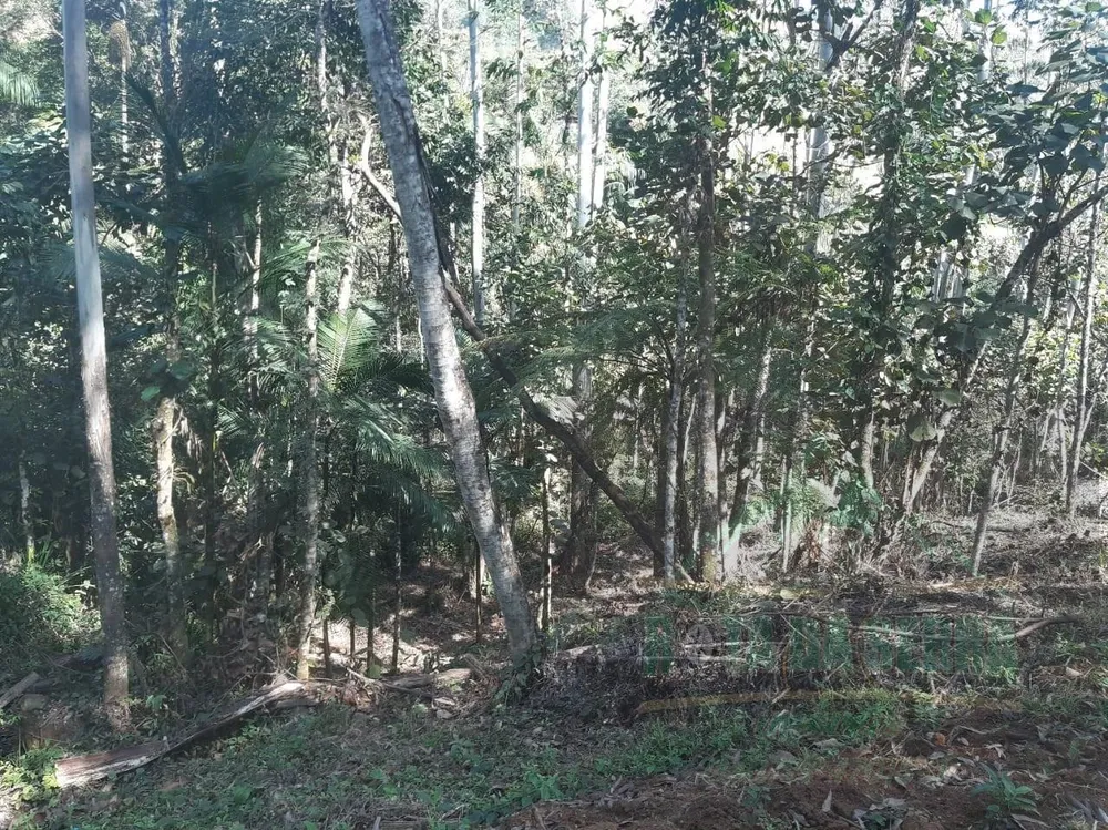 Terreno, 5000 m² - Foto 3