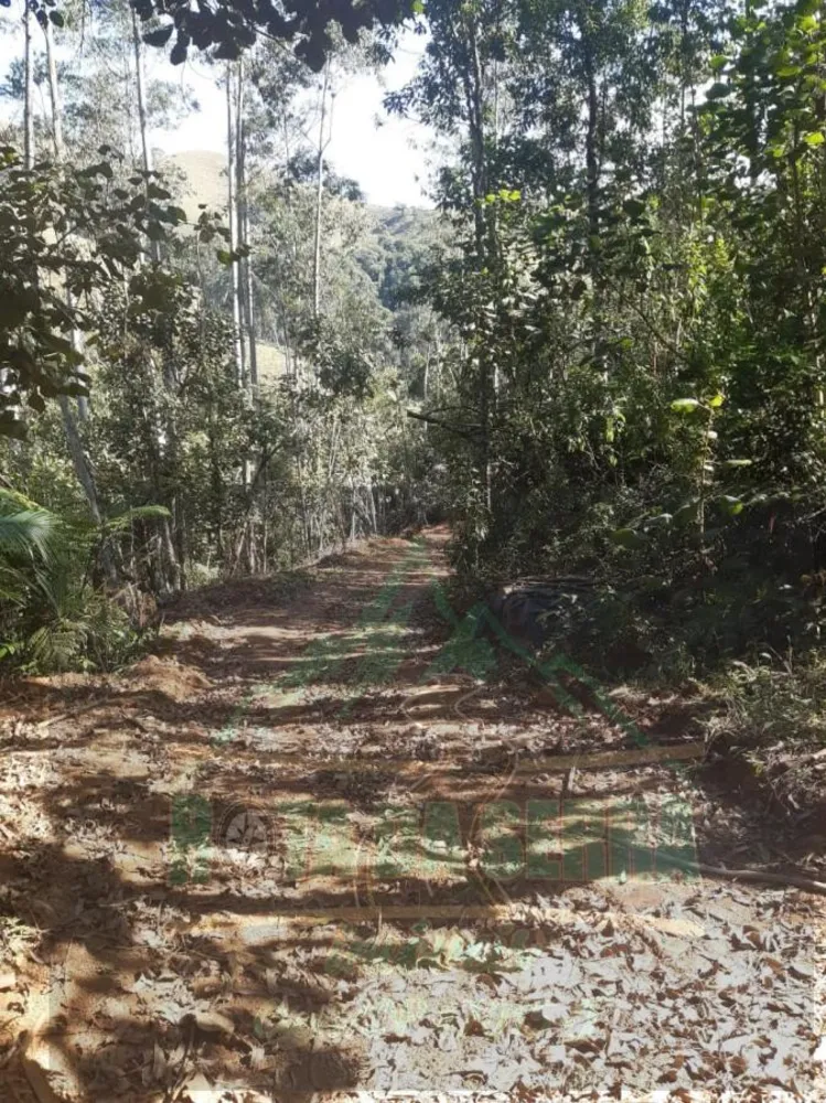 Terreno, 5000 m² - Foto 6