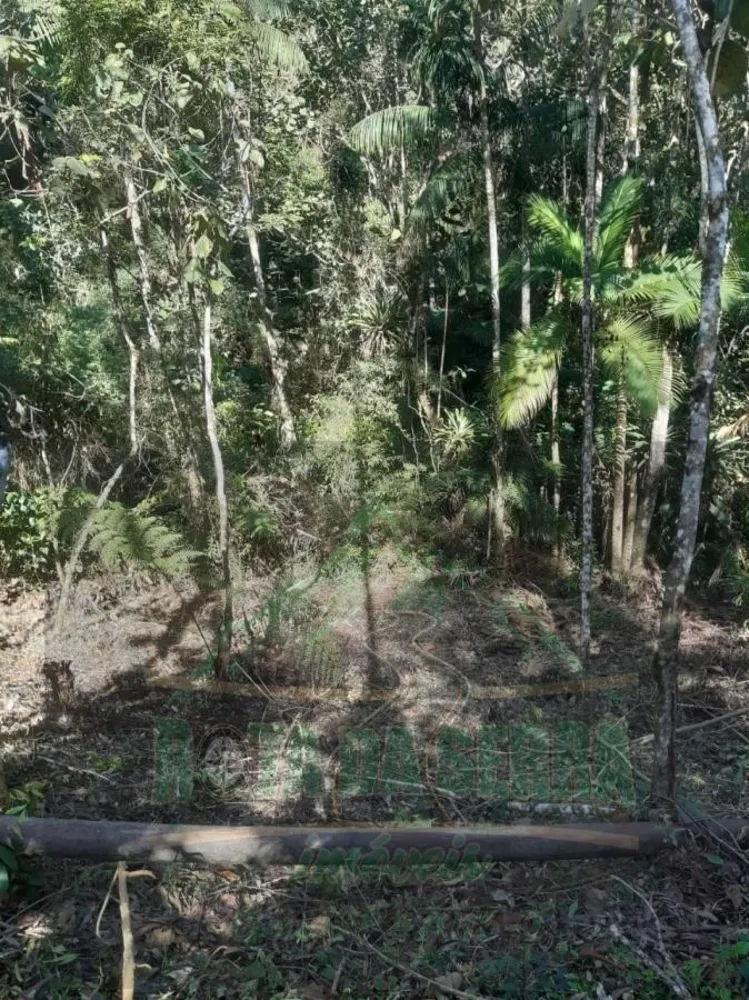 Terreno, 5000 m² - Foto 10