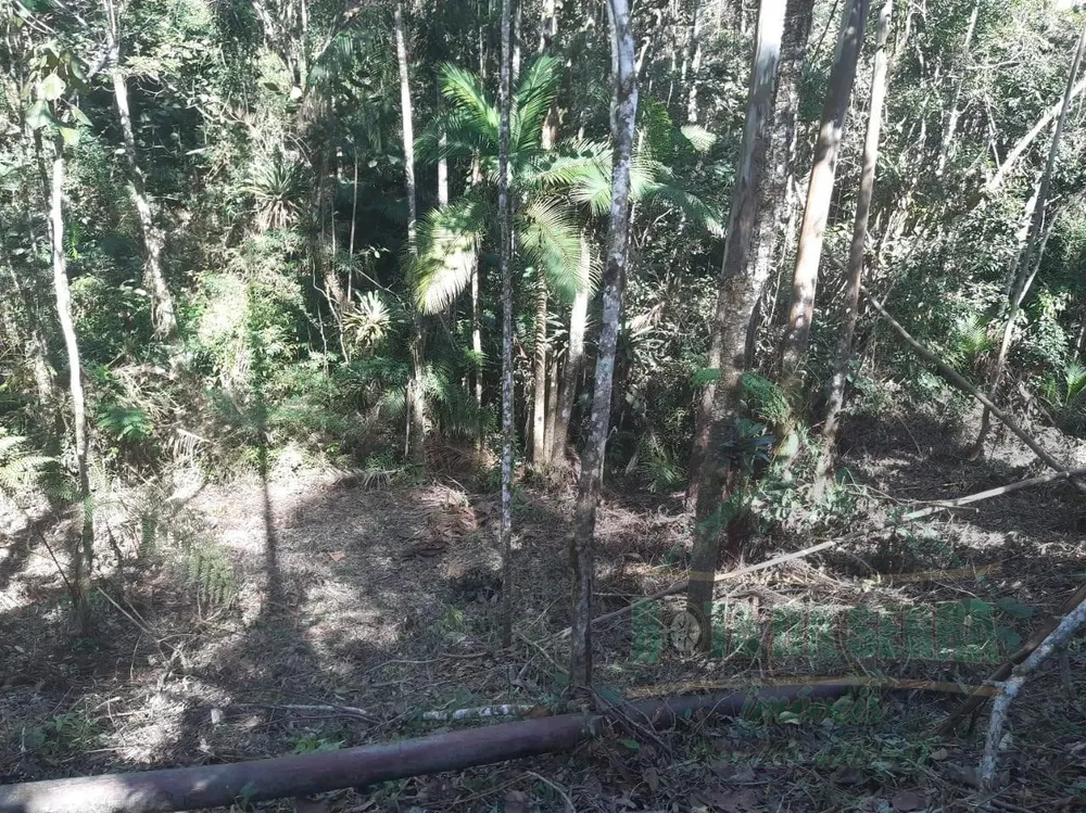 Terreno, 5000 m² - Foto 11