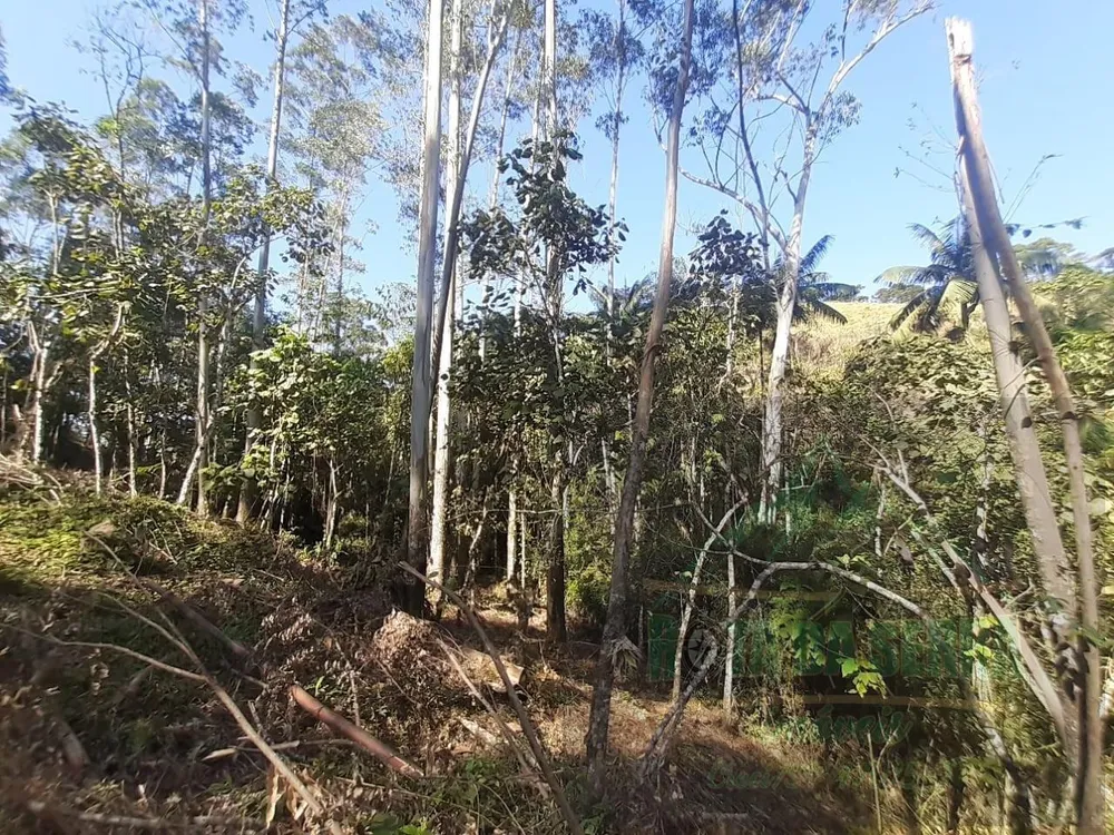Terreno, 5000 m² - Foto 14