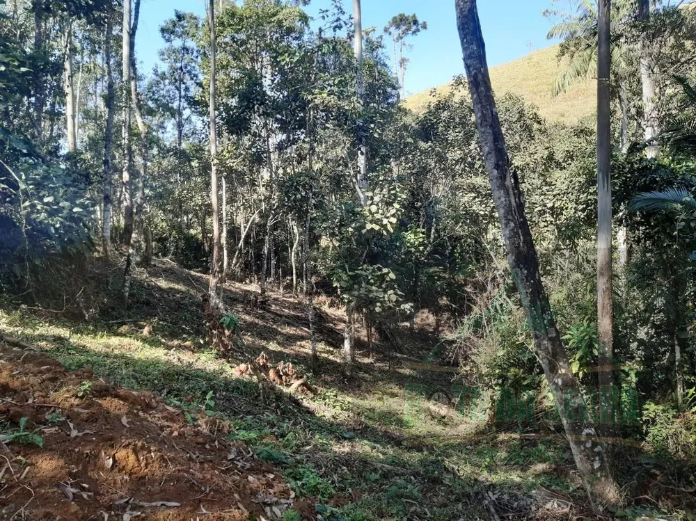 Terreno, 5000 m² - Foto 13