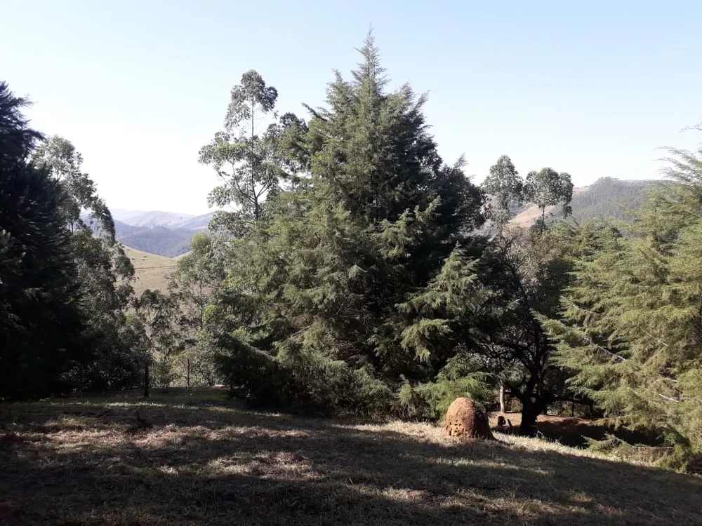 Terreno, 5 hectares - Foto 13