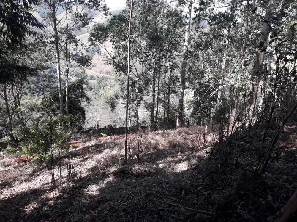 Terreno, 5 hectares - Foto 15