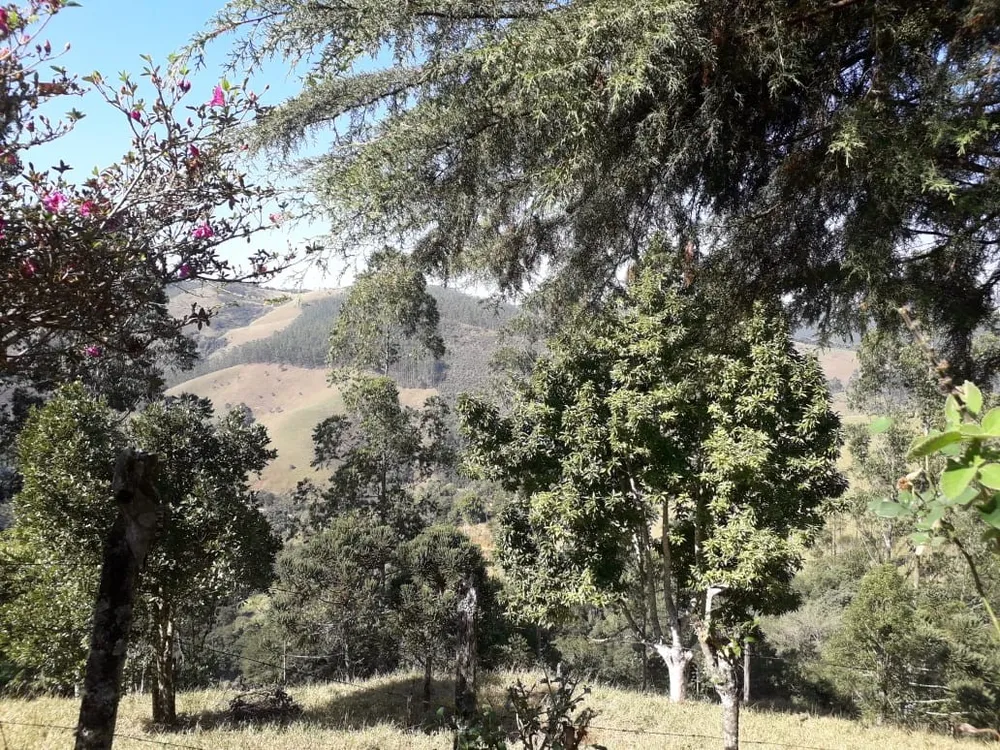 Terreno, 5 hectares - Foto 14