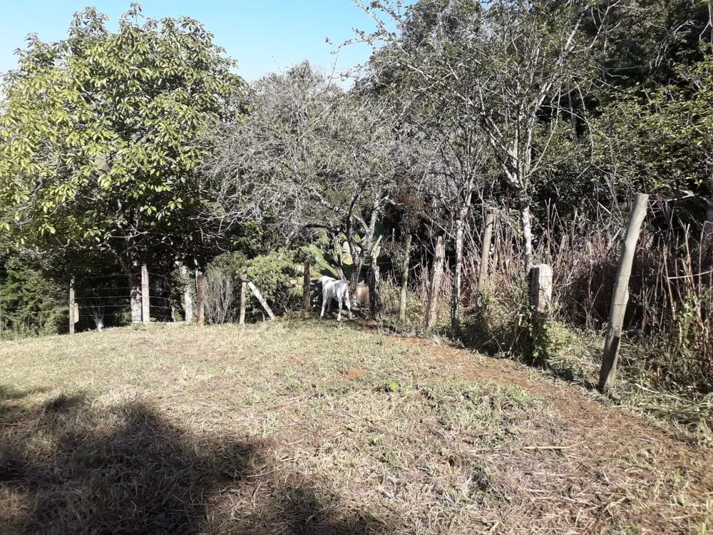 Terreno, 5 hectares - Foto 16