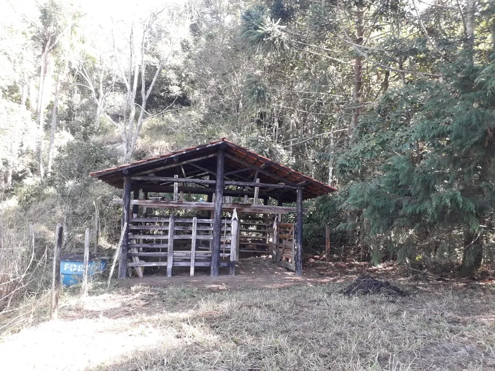 Terreno, 5 hectares - Foto 11