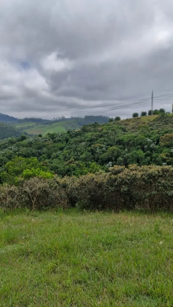 Terreno, 2 hectares - Foto 4