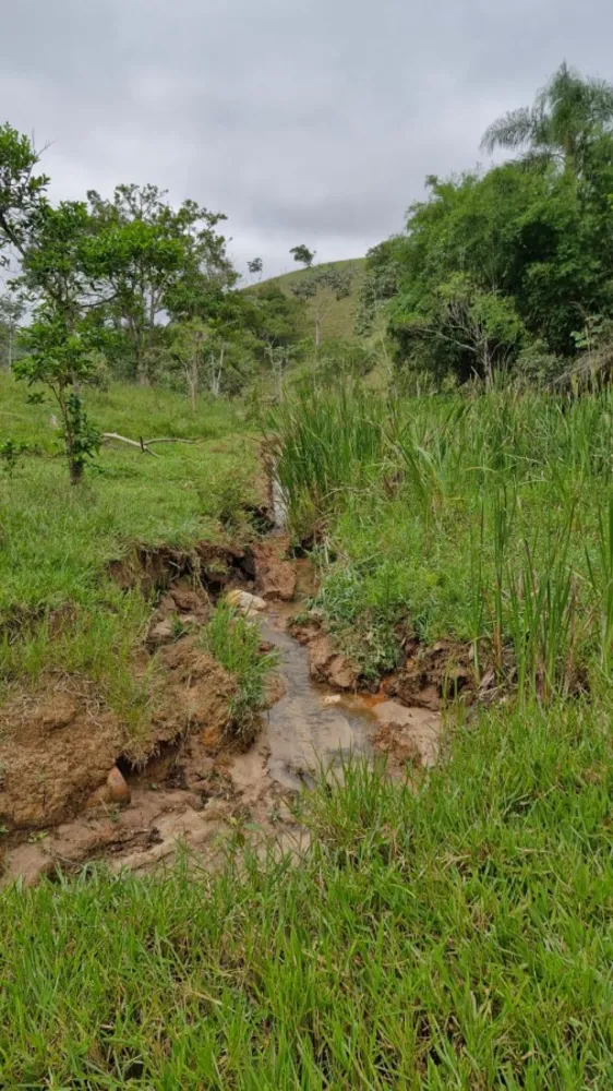 Terreno, 2 hectares - Foto 7