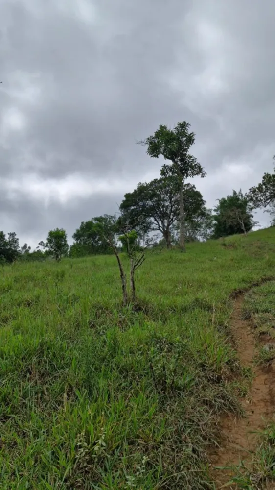Terreno, 2 hectares - Foto 6