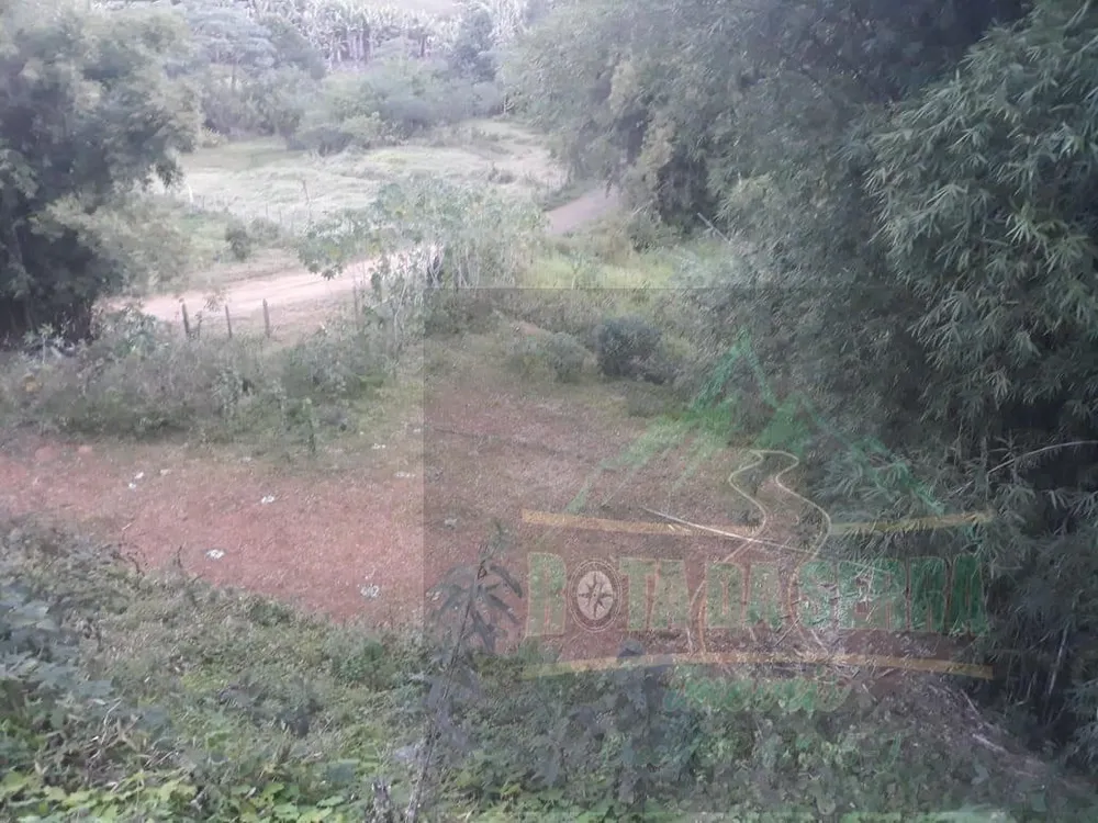 Terreno, 4 hectares - Foto 3