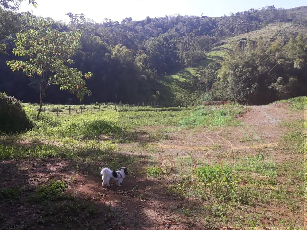 Terreno, 4 hectares - Foto 1