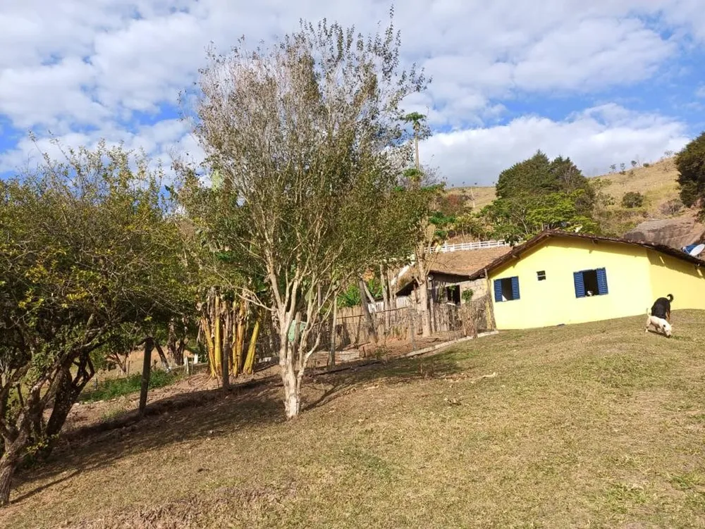 Terreno, 11 hectares - Foto 4