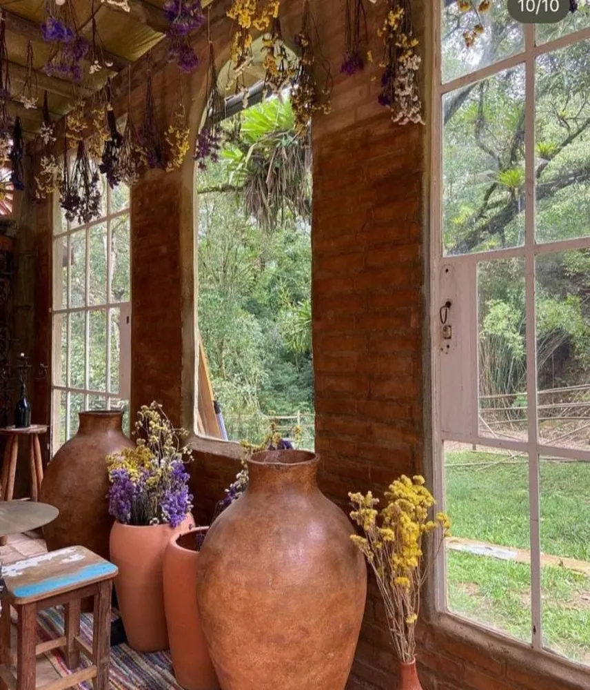 Terreno, 2 hectares - Foto 6