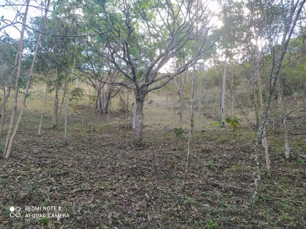 Terreno, 6 hectares - Foto 4