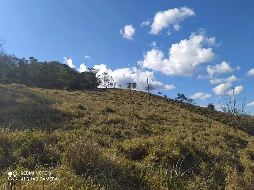 Terreno, 6 hectares - Foto 16