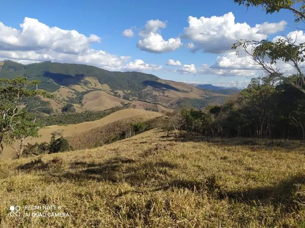 Terreno, 6 hectares - Foto 4
