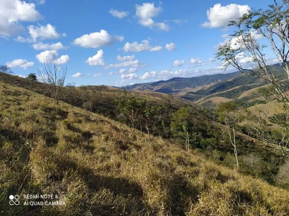 Terreno, 6 hectares - Foto 3