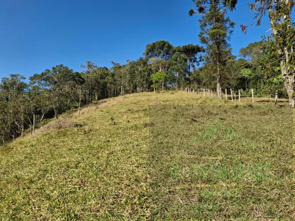 Terreno, 2 hectares - Foto 10