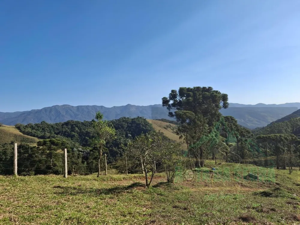 Terreno, 2 hectares - Foto 7