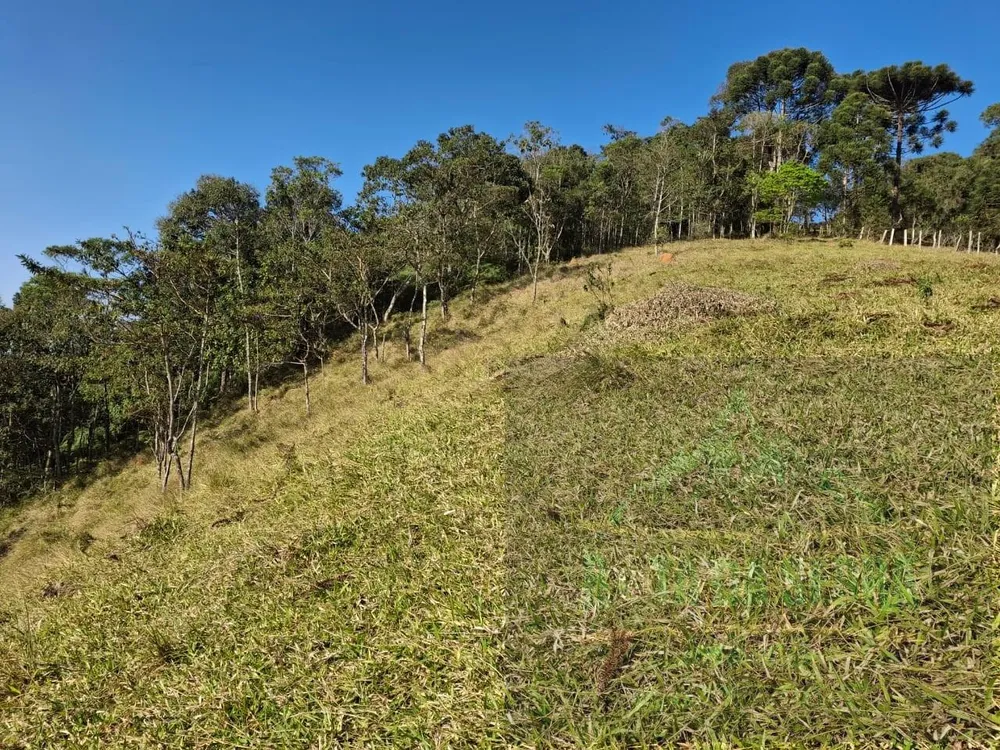 Terreno, 2 hectares - Foto 3