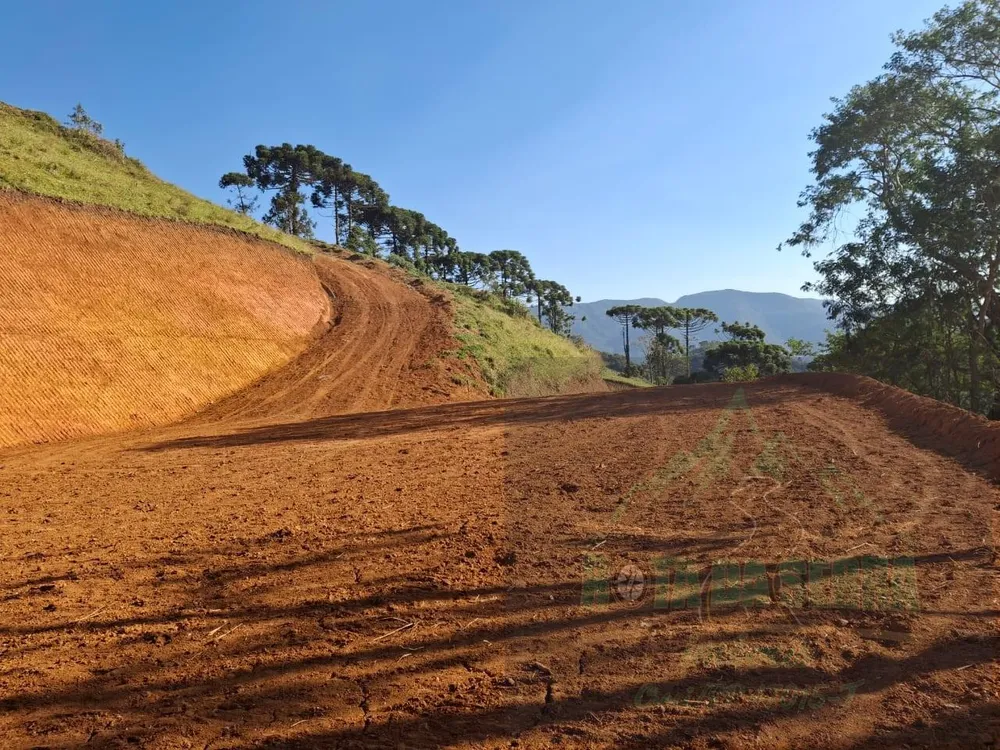 Terreno, 2 hectares - Foto 6