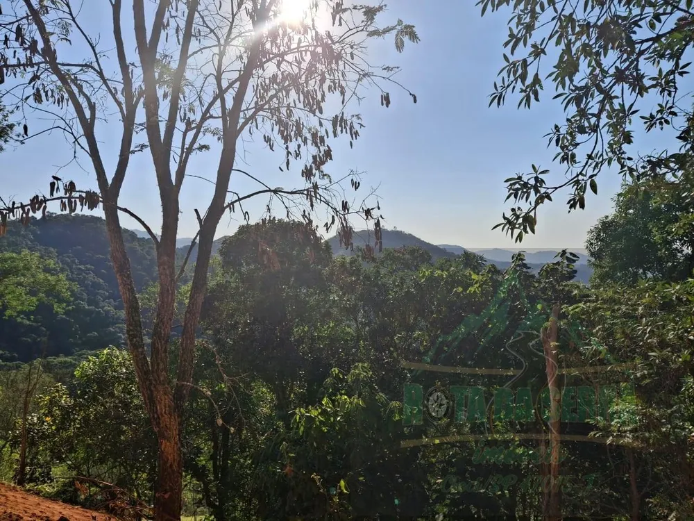 Terreno, 2 hectares - Foto 8