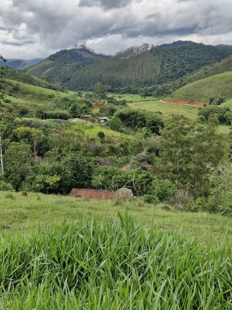 Terreno, 2 hectares - Foto 8