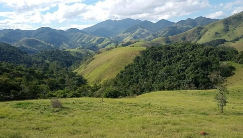 Terreno, 9 hectares - Foto 6