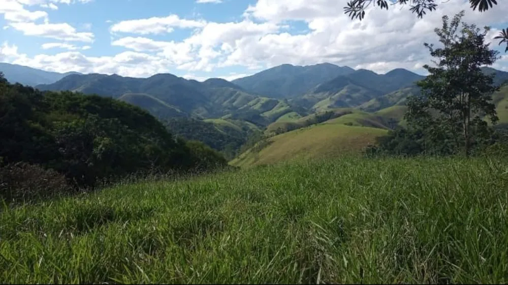 Terreno, 9 hectares - Foto 8