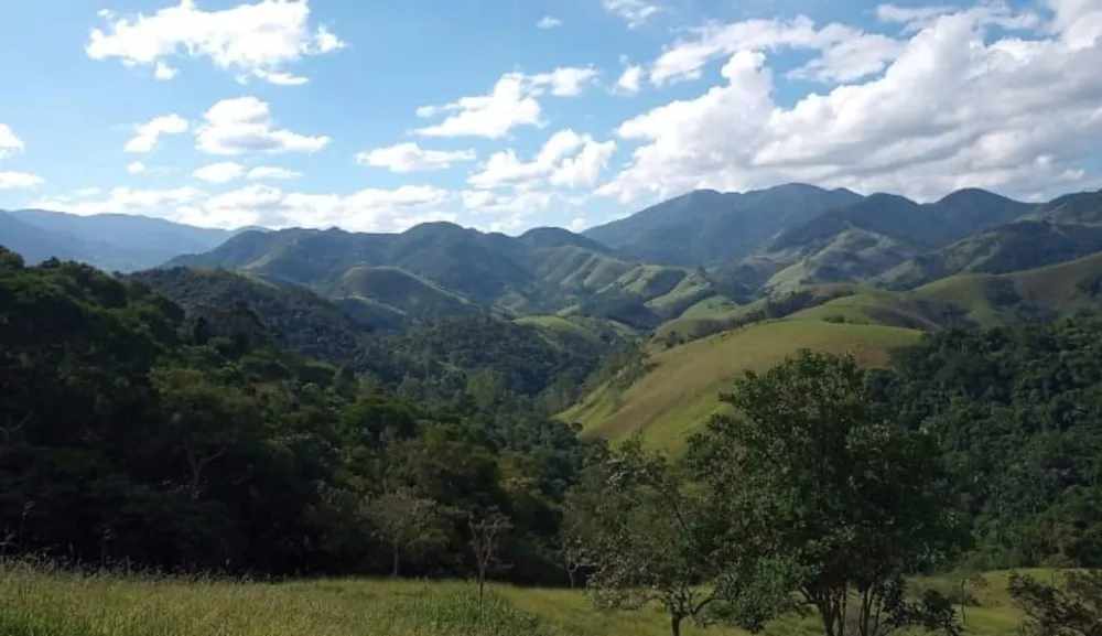 Terreno, 9 hectares - Foto 4