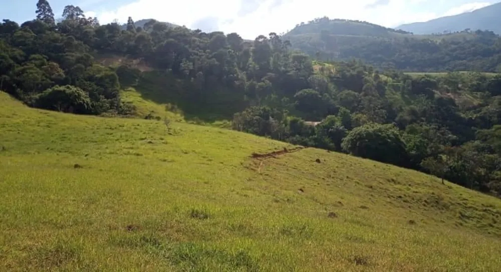 Terreno, 9 hectares - Foto 1