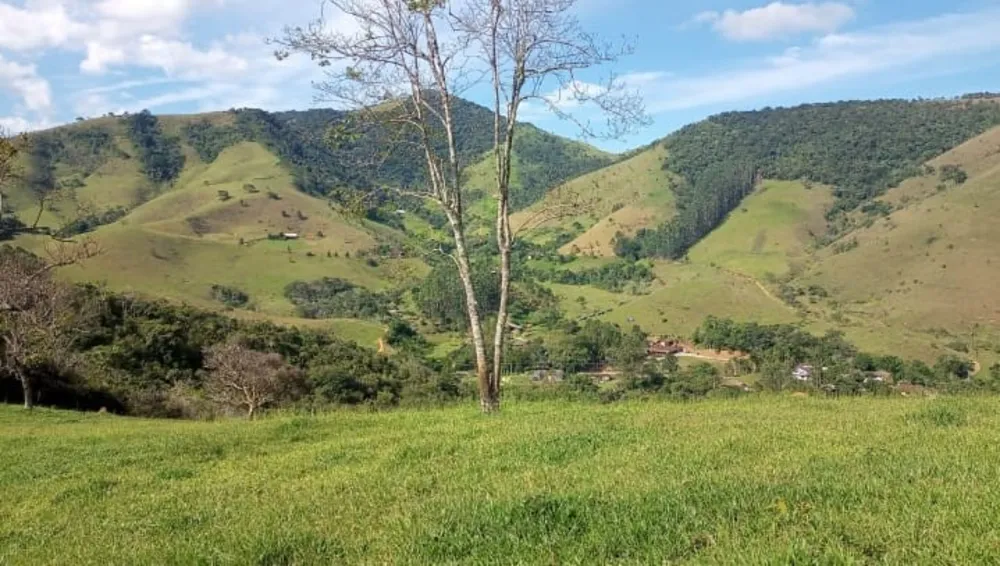 Terreno, 9 hectares - Foto 1