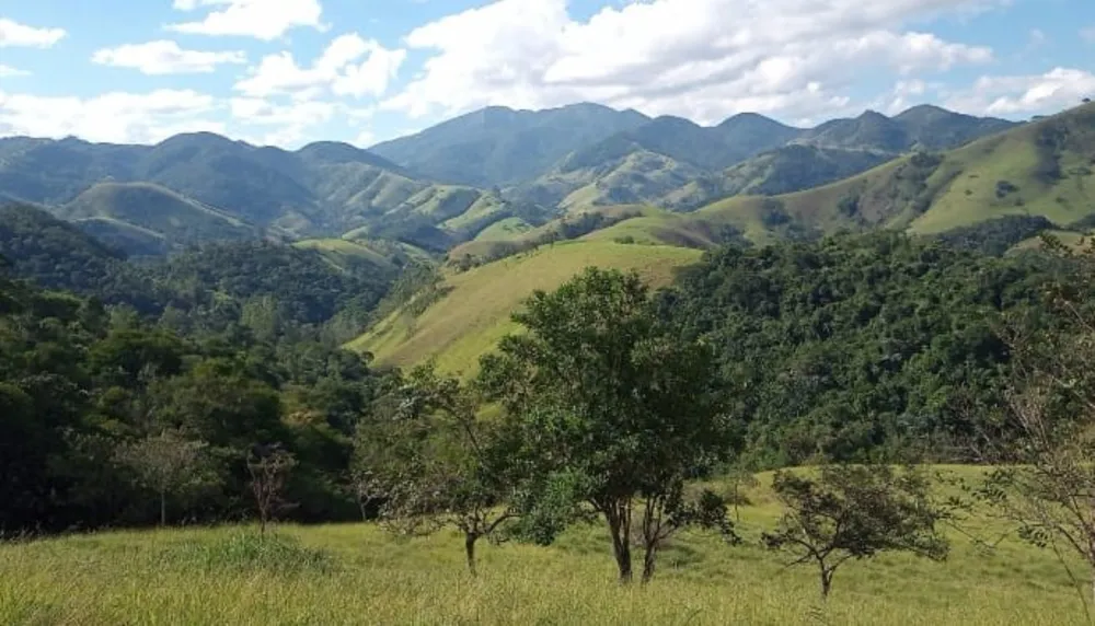 Terreno, 9 hectares - Foto 3
