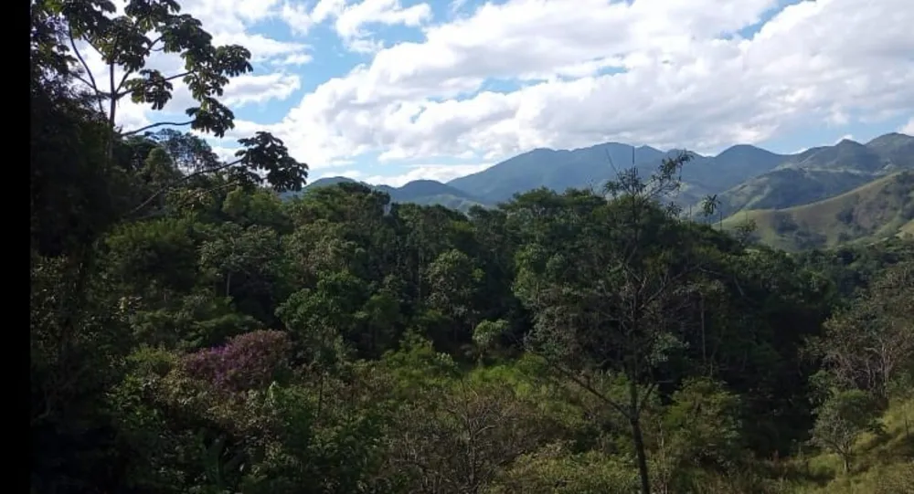 Terreno, 9 hectares - Foto 10