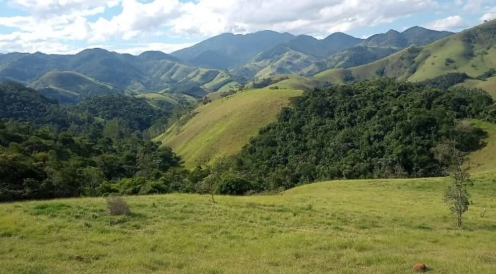 Terreno, 9 hectares - Foto 11