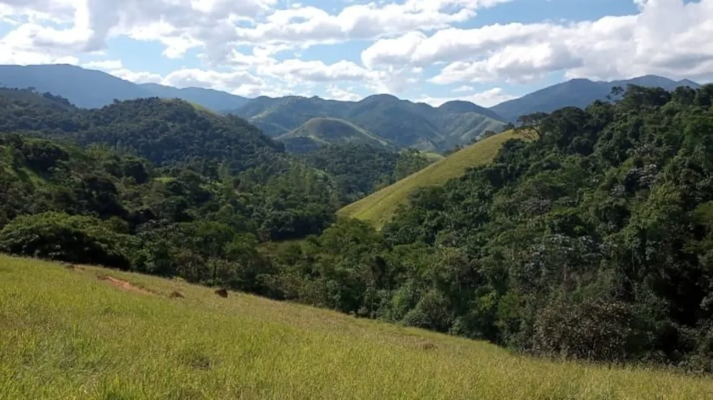 Terreno, 9 hectares - Foto 4