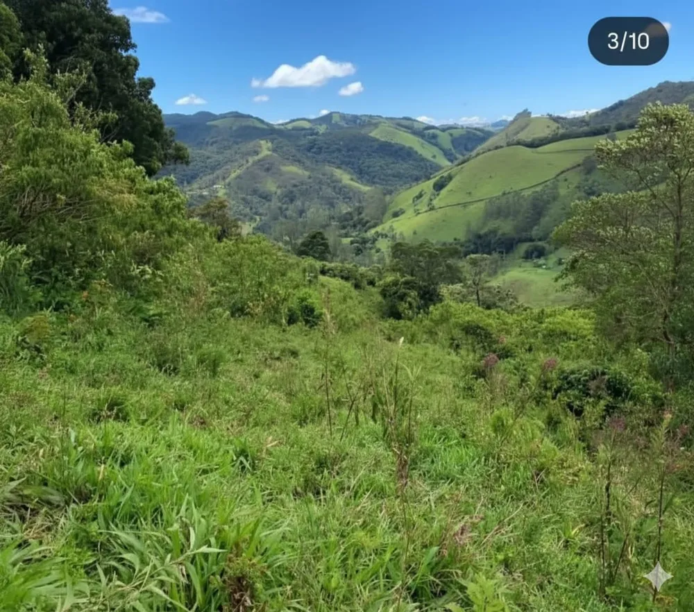 Terreno, 20 hectares - Foto 9