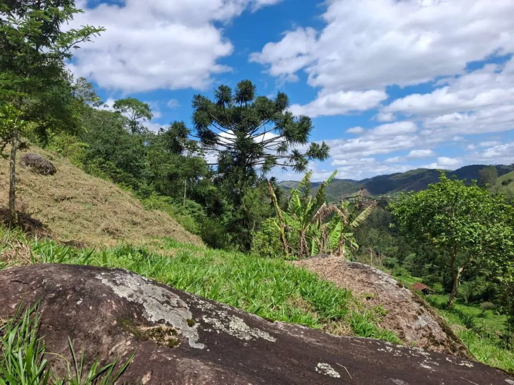 Terreno, 20 hectares - Foto 11