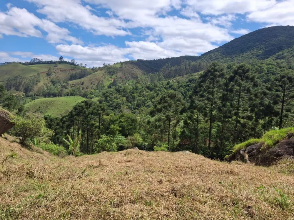 Terreno, 20 hectares - Foto 15