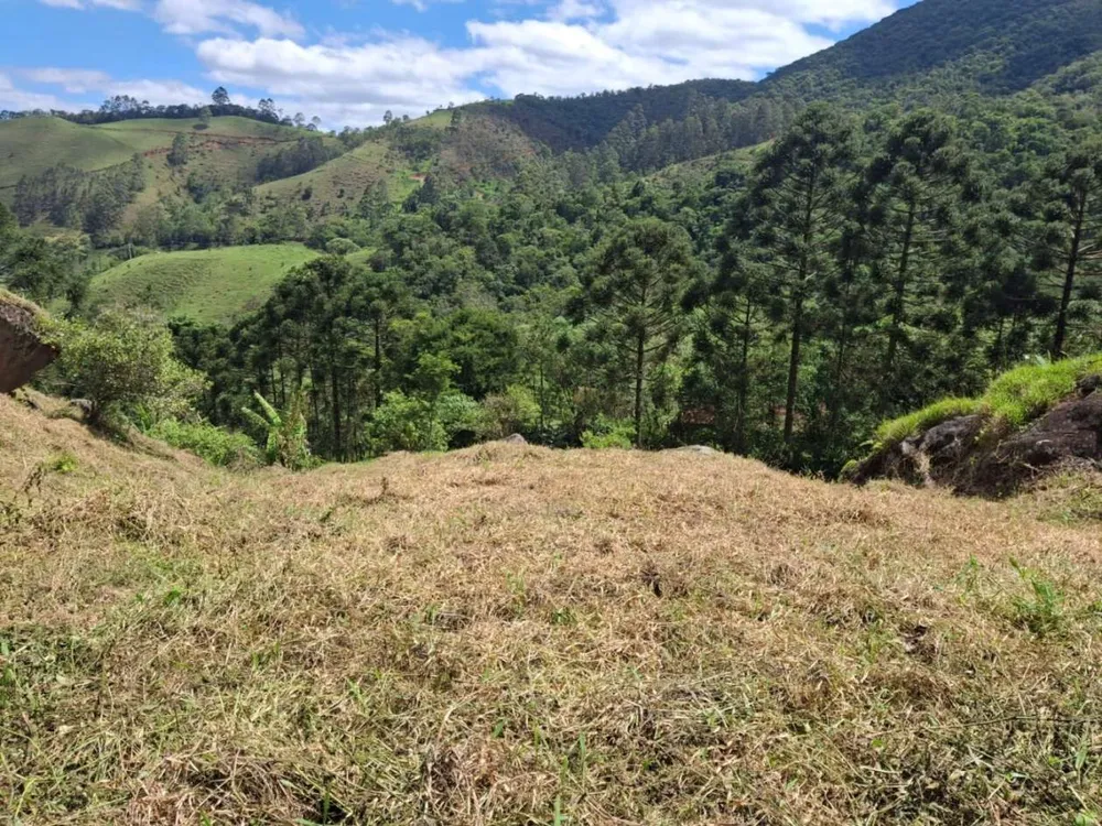 Terreno, 20 hectares - Foto 13