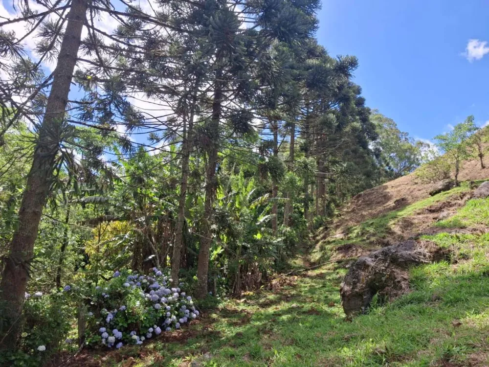Terreno, 20 hectares - Foto 12