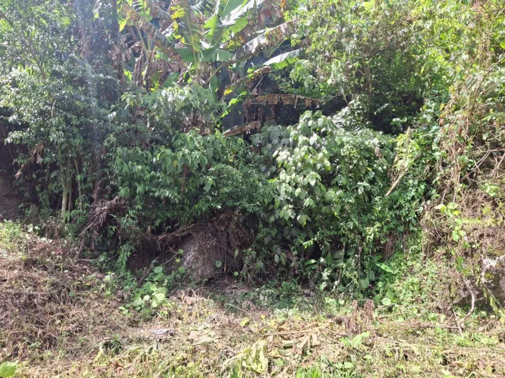 Terreno, 20 hectares - Foto 14