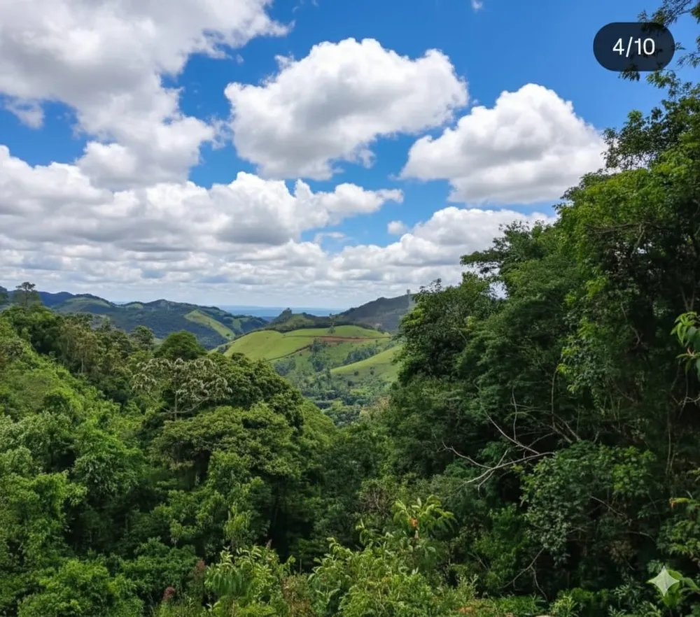 Terreno, 20 hectares - Foto 7