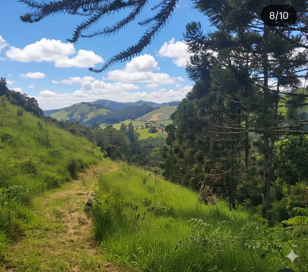 Terreno, 20 hectares - Foto 6