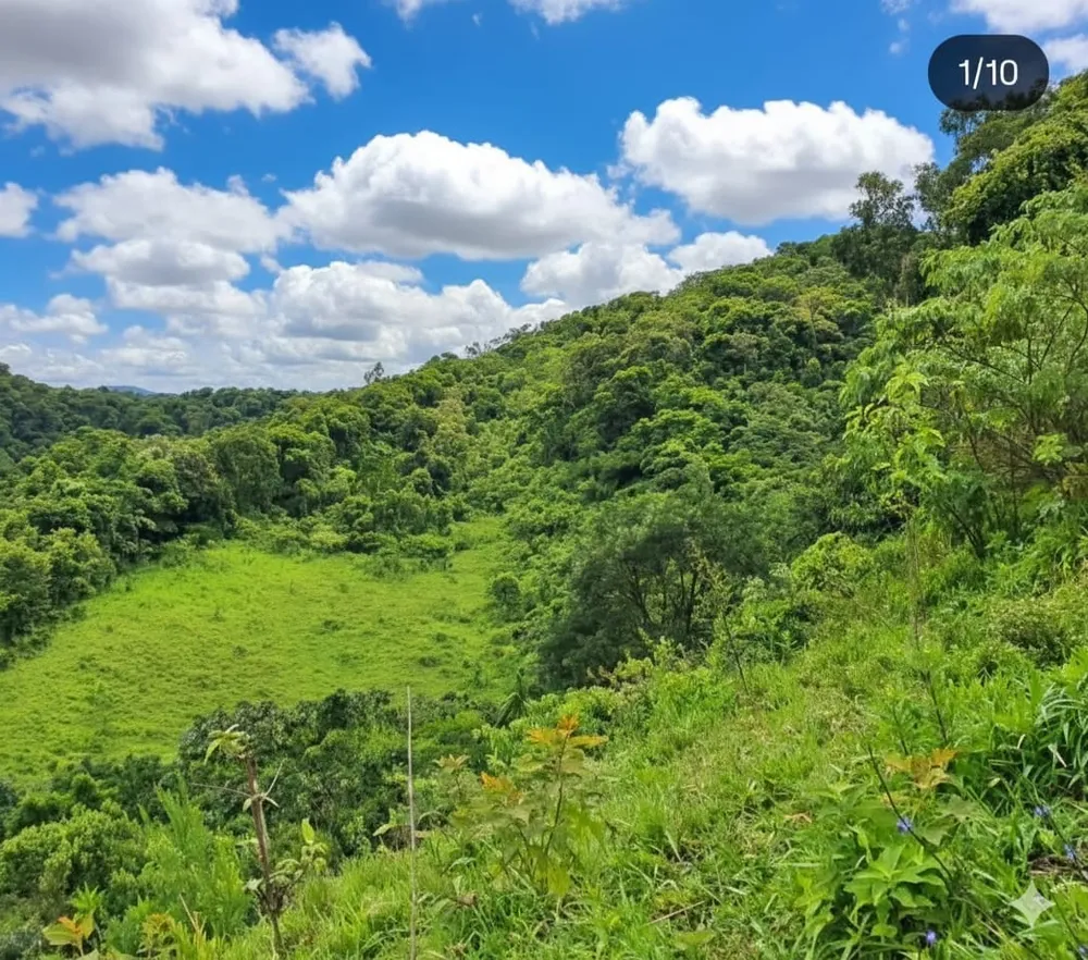 Terreno, 20 hectares - Foto 2