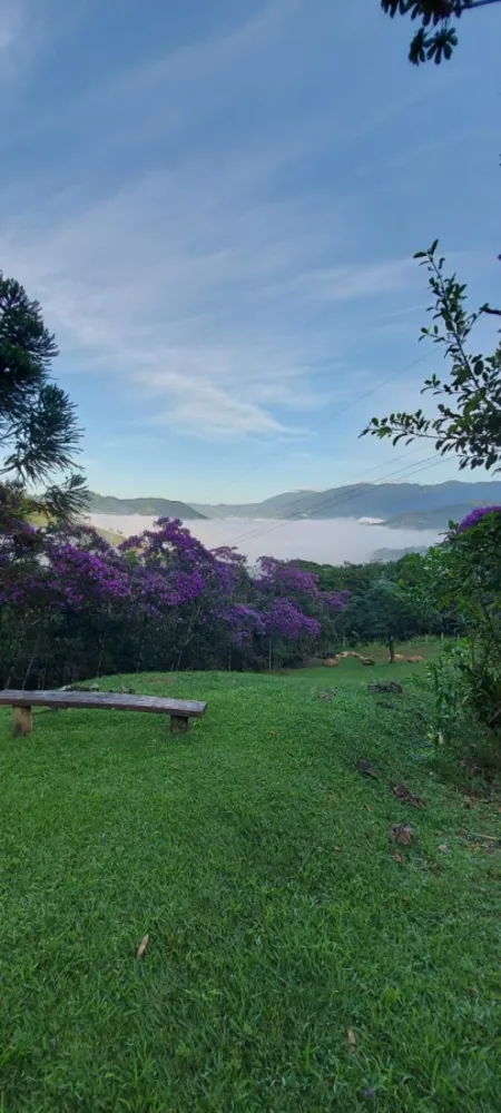 Terreno, 9000 m² - Foto 9