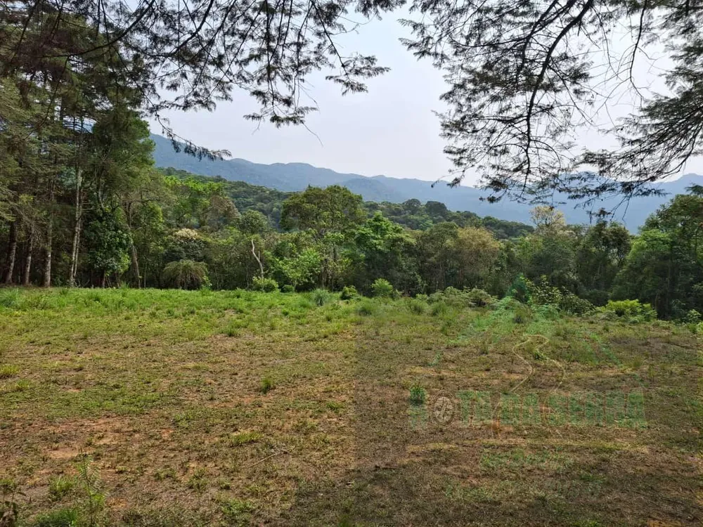 Terreno, 17 hectares - Foto 3